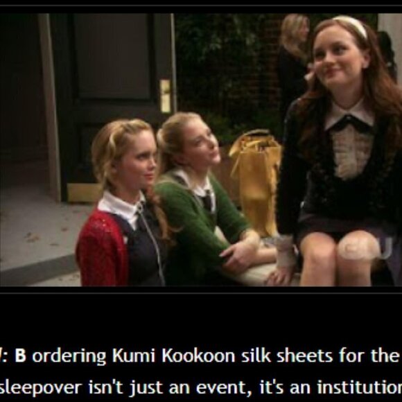 Kumi Kookoon Silk Pillow Sham 12x16 NWT as seen on Gossip Girl - Picture 5 of 6